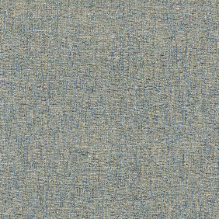 Accent Atlantic 407413 by PKL Studio Fabric - 97%Polyester 3%Cotton INDIA 51000 Horizontal: 0 and Vertical: 0 54 - Fabric Carolina -