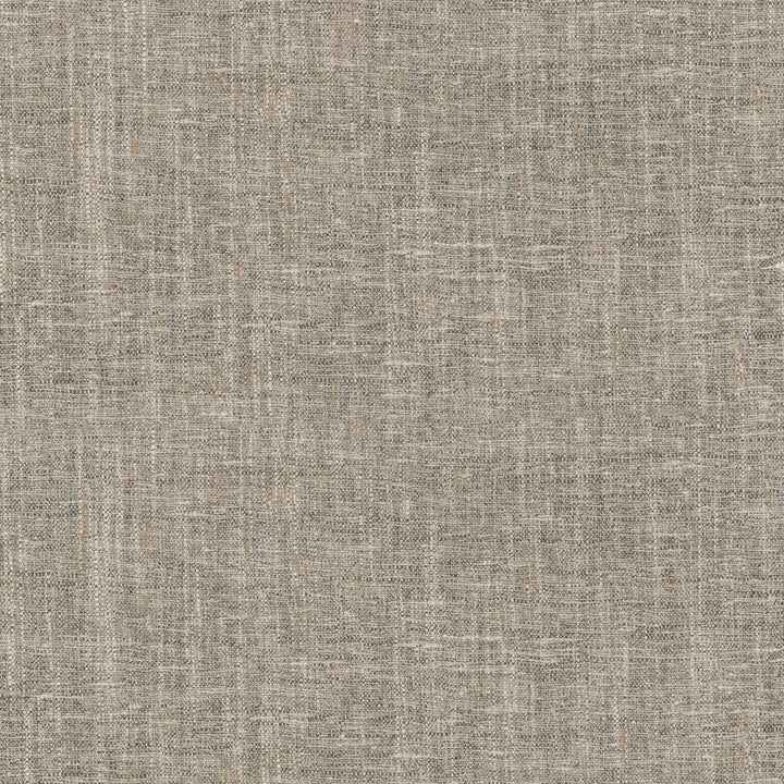 Accent Safari 407414 by PKL Studio Fabric - 97%Polyester 3%Cotton India 51000 Horizontal: 0 and Vertical: 0 54 - Fabric Carolina -