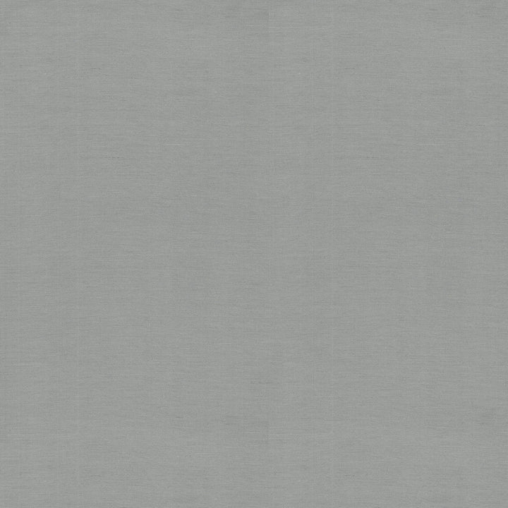 Chennai Grey 407483 by PKL Studio Fabric - 55% LINEN 45% RAYON China 6000 Horizontal: 0 and Vertical: 0 54 - Fabric Carolina -