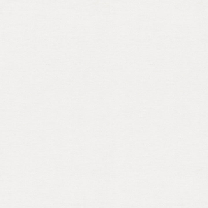 Chennai White Nro 407488 by PKL Studio Fabric PKL STUDIO OCT'18 45% Linen 45% Rayon 10% Silk CHINA Wyzenbeek 6,000 Horizontal: 0.00" and Vertical: 0.00" 54" - Fabric Carolina -