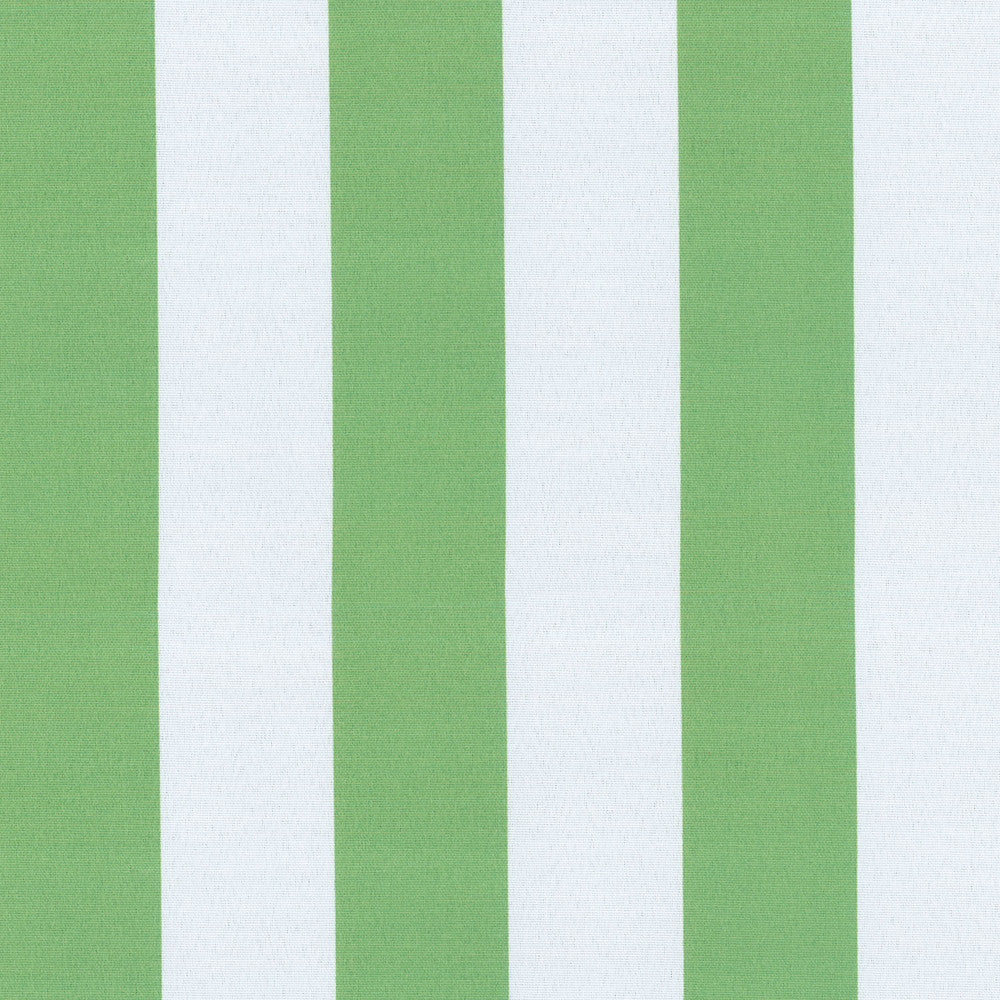 Canopy Stripe Gecko 407725 by PKL Studio Outdoor Fabric - 100% Spun Polyester Pakistan 51000 Horizontal: 0 and Vertical: 4.5 54 - Fabric Carolina -