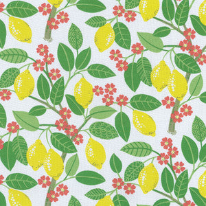 LEMON TREE ECRU 407770 by PKL Studio Outdoor Fabric