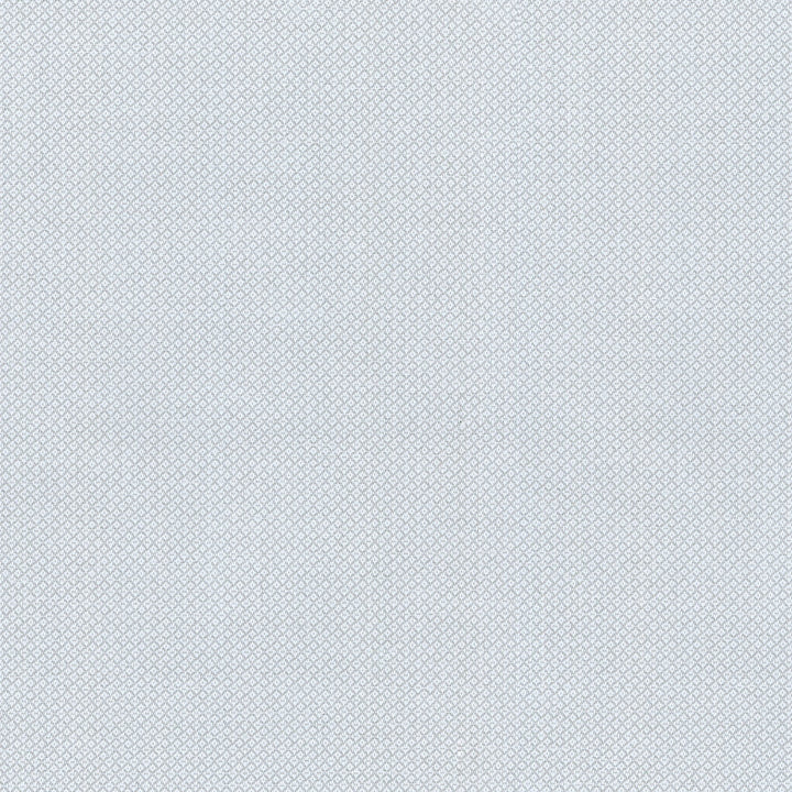 Hideaway Cloud 407873 by PKL Studio Outdoor Fabric - 100% UV Polypropylene Taiwan 51000 Horizontal: 0.2 and Vertical: 0.2 54 - Fabric Carolina -