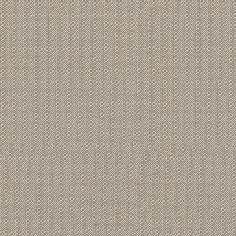 Hideaway Linen 407876 by PKL Studio Outdoor Fabric - 100% UV Polypropylene Taiwan 51000 Horizontal: 0.2 and Vertical: 0.2 54 - Fabric Carolina -