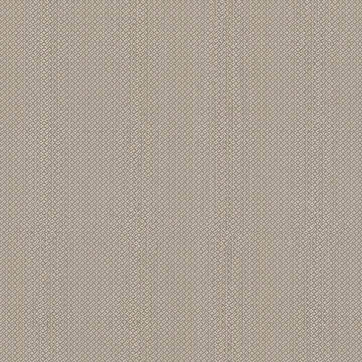 HIDEAWAY Linen 407876 by PKL Studio Outdoor Fabric - 100% SPUN Polyester Taiwan 51000 Horizontal: 0.2 and Vertical: 0.2 54 - Fabric Carolina -