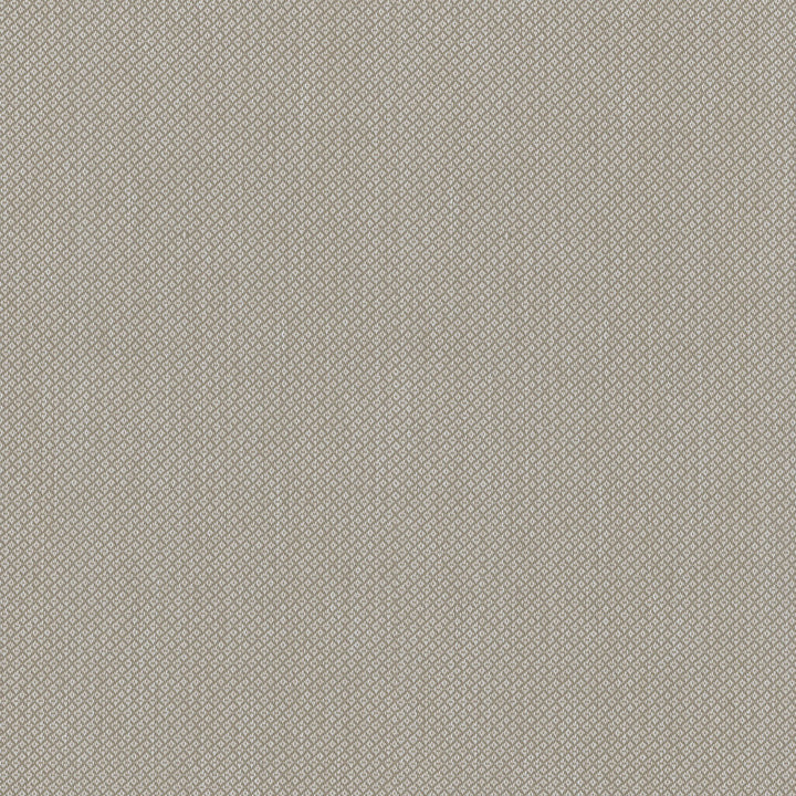 Hideaway Driftwood 407877 by PKL Studio Outdoor Fabric - 100% UV Polypropylene Taiwan 51000 Horizontal: 0.2 and Vertical: 0.2 54 - Fabric Carolina -