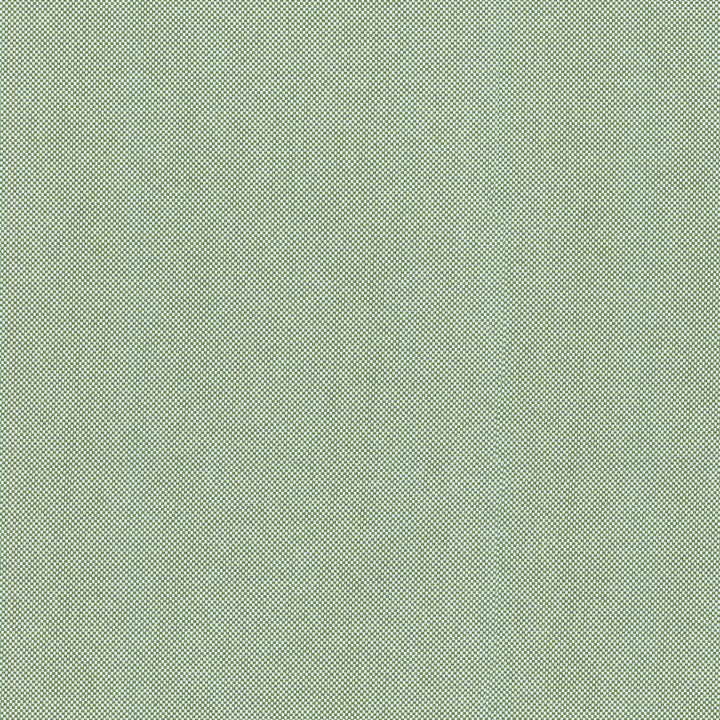 DWELLING GARDEN 407883 by PKL Studio Outdoor Fabric - 55% LINEN 45% RAYON Taiwan 51000 Horizontal: 0 and Vertical: 0 54 - Fabric Carolina -