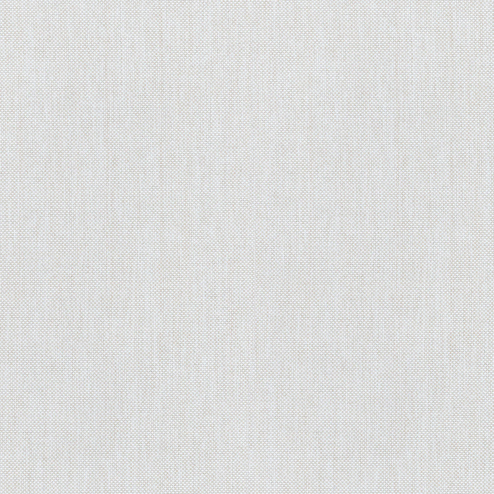 Dwelling Flax 407886 by PKL Studio Outdoor Fabric - 100% UV Polypropylene Taiwan 51000 Horizontal: 0 and Vertical: 0 54 - Fabric Carolina -