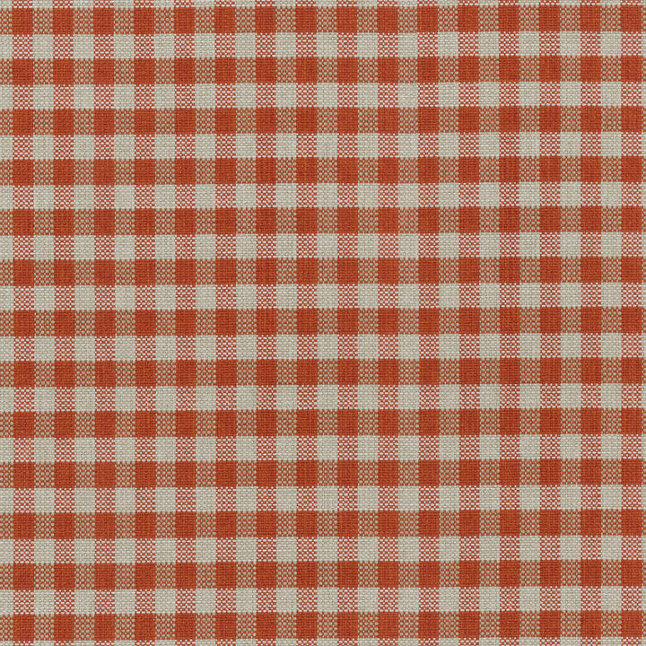 Row House Check Cinnabar 407904 by PKL Studio Outdoor Fabric - 100% UV Polypropylene Taiwan 51000 Horizontal: 1 and Vertical: 0.75 54 - Fabric Carolina -
