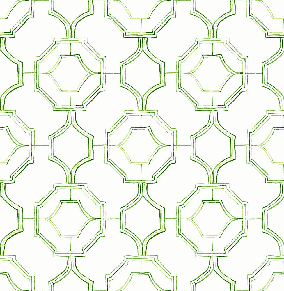 Gallina Green Trellis Wallpaper by A-Street Prints Happy Covers about 56.4 square feet 20.5-in by 33-ft long roll Unpasted 10.4 - Fabric Carolina -