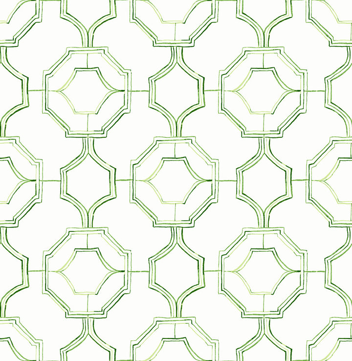 Gallina Green Trellis Wallpaper by A-Street Prints Happy Covers about 56.4 square feet 20.5-in by 33-ft long roll Unpasted 10.4 - Fabric Carolina -