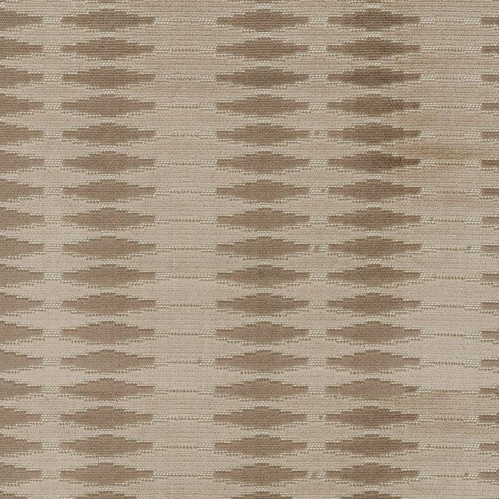 Magnifique Fossil 408313 by PKL Studio Fabric - 52% Rayon 48% Polyester INDIA 51000 Horizontal: 4 and Vertical: 0.7 54 - Fabric Carolina -