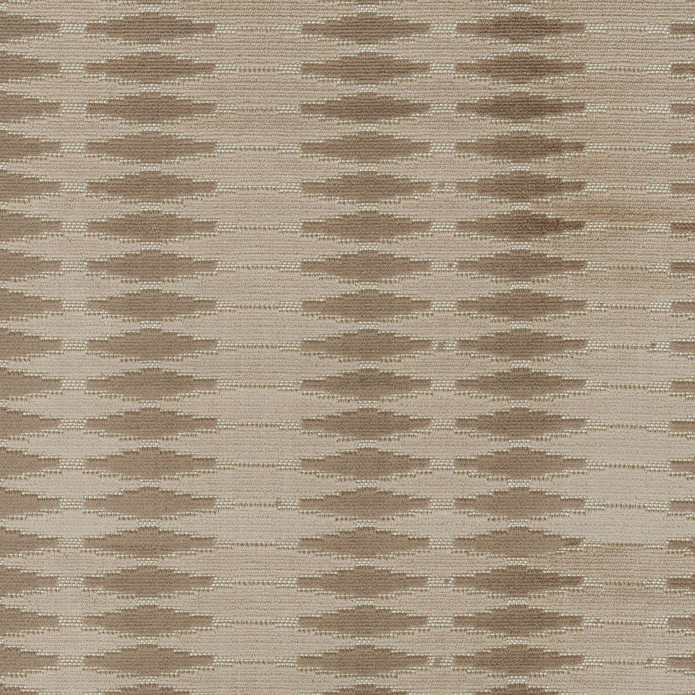 Magnifique Fossile 408313 by PKL Studio Fabric - 52%Rayon 48%Polyester INDIA 51000 Horizontal: 4 and Vertical: 0.7 54 - Fabric Carolina -