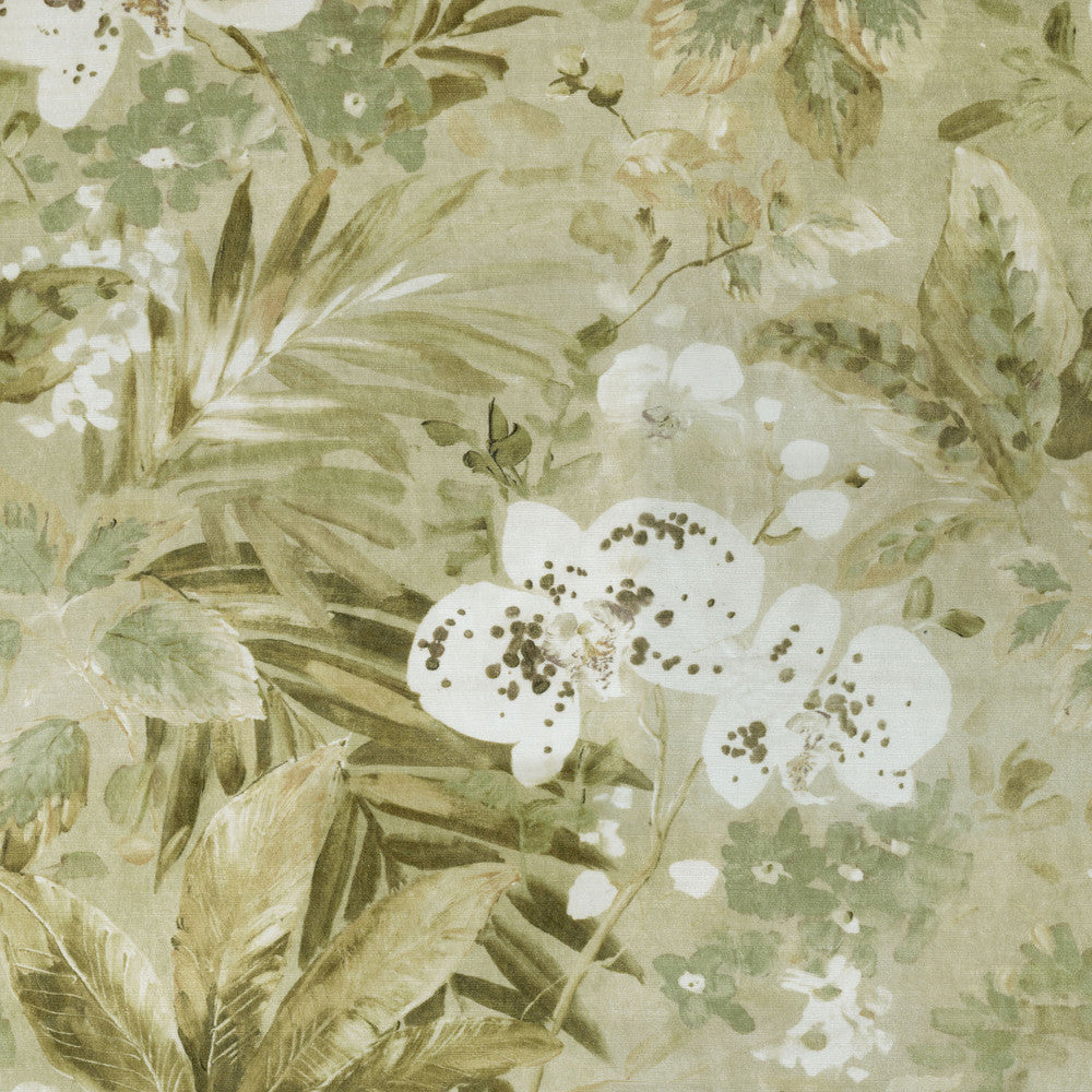 Natural Delicacy Opal 408491 by PKL Studio Fabric - 54% VISCOSE 27% COTTON 19% POLYESTER India 51000 Horizontal: 27 and Vertical: 32 54 - Fabric Carolina -