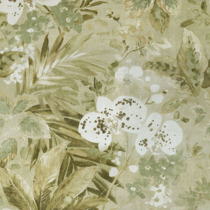 Natural Delicacy Opal 408491 by PKL Studio Fabric - 54% VISCOSE 27% COTTON 19% POLYESTER India 51000 Horizontal: 27 and Vertical: 32 54 - Fabric Carolina -