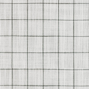 Concord Pane Domino 408500 by Performance Fabric