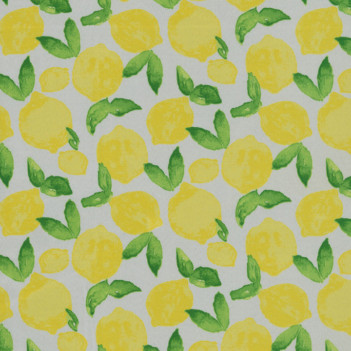 Citrus Squeeze Yellow 408930 by PKL Studio Outdoor Fabric - 100% Spun Polyester Pakistan 51000 Horizontal: 6.75 and Vertical: 8.42 54 - Fabric Carolina -