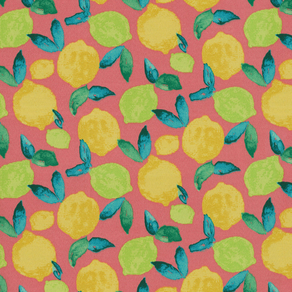 Citrus Squeeze Fuschia 408932 by PKL Studio Outdoor Fabric - Base: 100% Cotton Emb: 60% Cotton 40% Polyester Pakistan 51000 Horizontal: 6.75 and Vertical: 8.42 54 - Fabric Carolina -