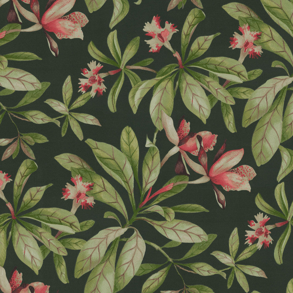 Od Orchid Valley Ebony 408960 by PKL Studio Fabric - 100% Spun Polyester PAKISTAN 51000 Horizontal: 13.5 and Vertical: 25.25 54 - Fabric Carolina -