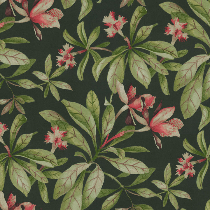 Od Orchid Valley Ebony 408960 by PKL Studio Fabric - 100% Spun Polyester PAKISTAN 51000 Horizontal: 13.5 and Vertical: 25.25 54 - Fabric Carolina -