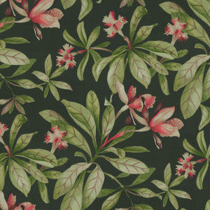 Od Orchid Valley Ebony 408960 by PKL Studio Fabric