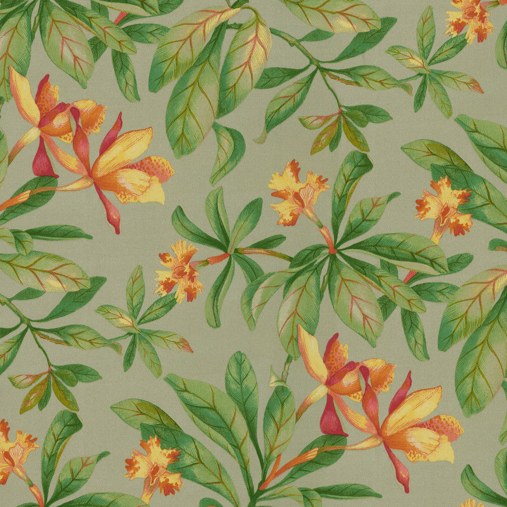 Orchid Valley Putty 408962 by PKL Studio Outdoor Fabric - 100% Spun Polyester Pakistan 51000 Horizontal: 13.5 and Vertical: 25.25 54 - Fabric Carolina -