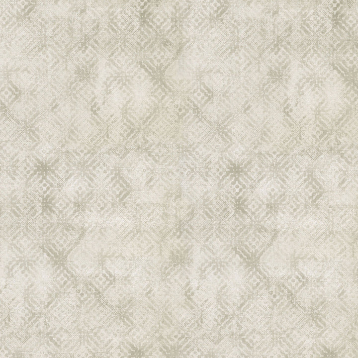 Velour Texture Oyster 409080 by PKL Studio Fabric - 100% COTTON China 51000 Horizontal: 27 and Vertical: 25.25 54 - Fabric Carolina -