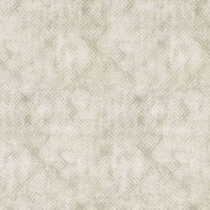 Velour Texture Oyster 409080 by PKL Studio Fabric