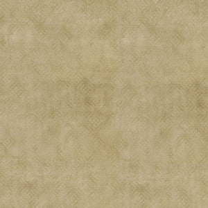 Velour Texture Vanilla 409083 by PKL Studio Fabric