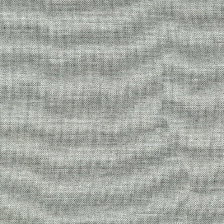 Reba Sterling 409111 by PKL Studio Fabric - Base:100% Polyester Back:100% Acrylic CHINA 51000 Horizontal: 0 and Vertical: 0 55 - Fabric Carolina -