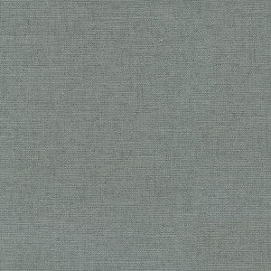 Reba Charcoal 409112 by PKL Studio Fabric