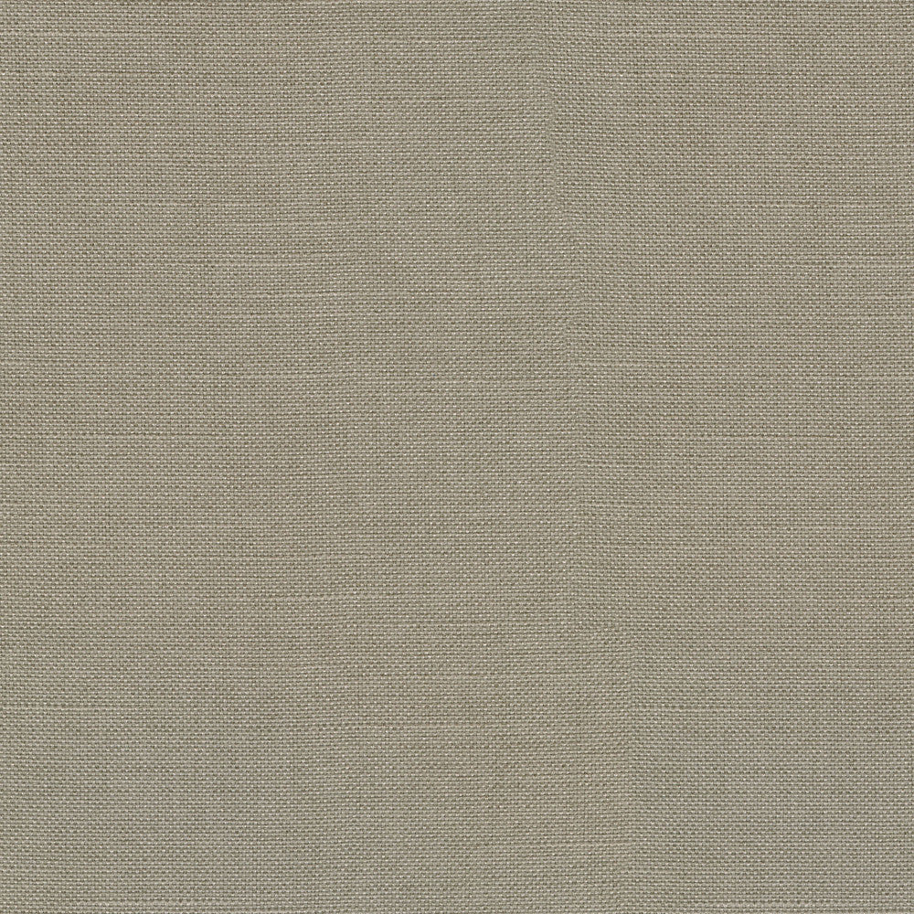 Reba Taupe 409113 by PKL Studio Fabric - Base:100%Polyester Back:100%Acrylic CHINA 51000 Horizontal: 0 and Vertical: 0 55 - Fabric Carolina -