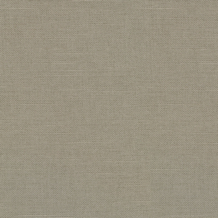 Reba Taupe 409113 by PKL Studio Fabric - Base:100%Polyester Back:100%Acrylic CHINA 51000 Horizontal: 0 and Vertical: 0 55 - Fabric Carolina -