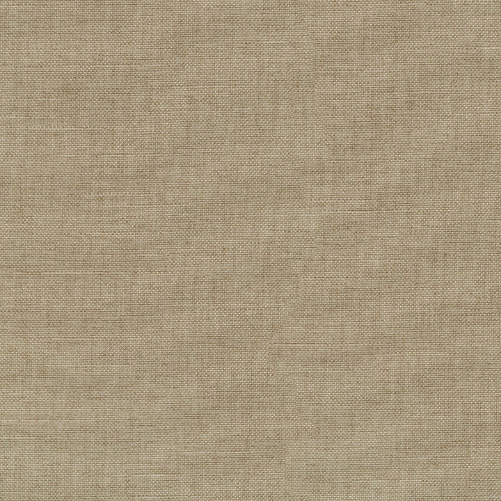 Reba Linen 409115 by PKL Studio Fabric - 100% Polyester China 51000 Horizontal: 0 and Vertical: 0 55 - Fabric Carolina -