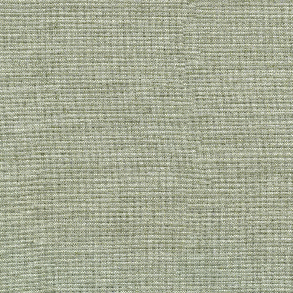 Reba Celery 409121 by PKL Studio Fabric - 100% Polyester China 51000 Horizontal: 0 and Vertical: 0 55 - Fabric Carolina -