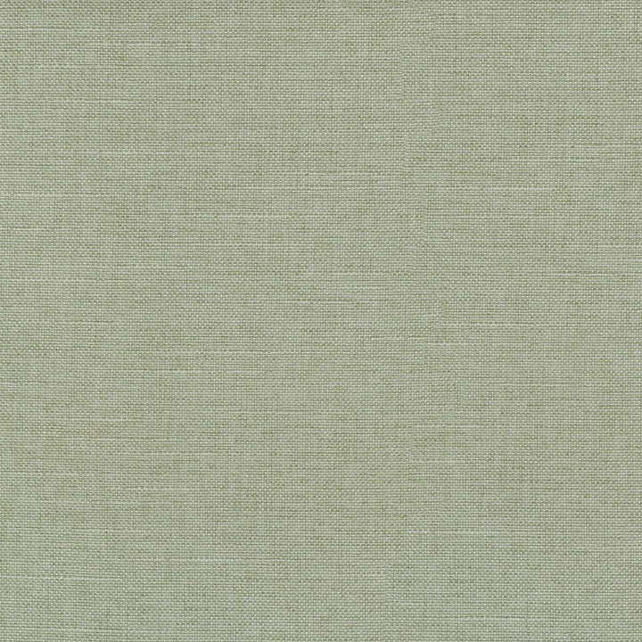 Reba Celery 409121 by PKL Studio Fabric - Base:100% Polyester Back:100% Acrylic CHINA 51000 Horizontal: 0 and Vertical: 0 55 - Fabric Carolina -