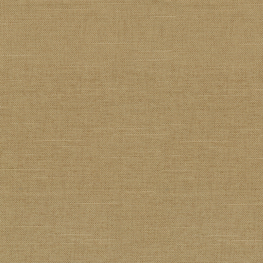 Reba Goldenrod 409122 by PKL Studio Fabric - 100% Polyester China 51000 Horizontal: 0 and Vertical: 0 55 - Fabric Carolina -