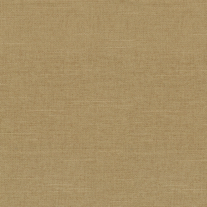 Reba Goldenrod 409122 by PKL Studio Fabric - 100% Polyester China 51000 Horizontal: 0 and Vertical: 0 55 - Fabric Carolina -