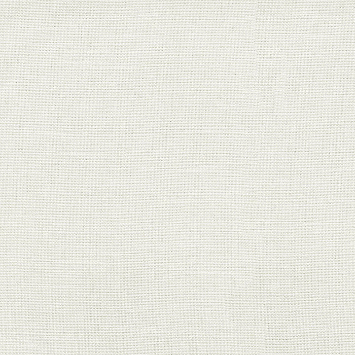 Reba White 409124 by PKL Studio Fabric - Base:100%Polyester Back:100%Acrylic CHINA 51000 Horizontal: 0 and Vertical: 0 55 - Fabric Carolina -