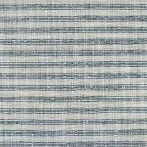 Ashton Ticking Denim 409134 by Performance Fabric