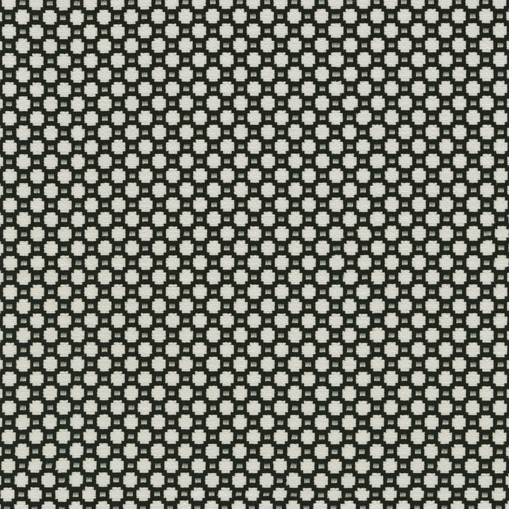 Alden Domino 409360 by Performance+ Fabric - 80% Polyester 20% Rayon China 51000 Horizontal: 0.75 and Vertical: 0.75 55 - Fabric Carolina -
