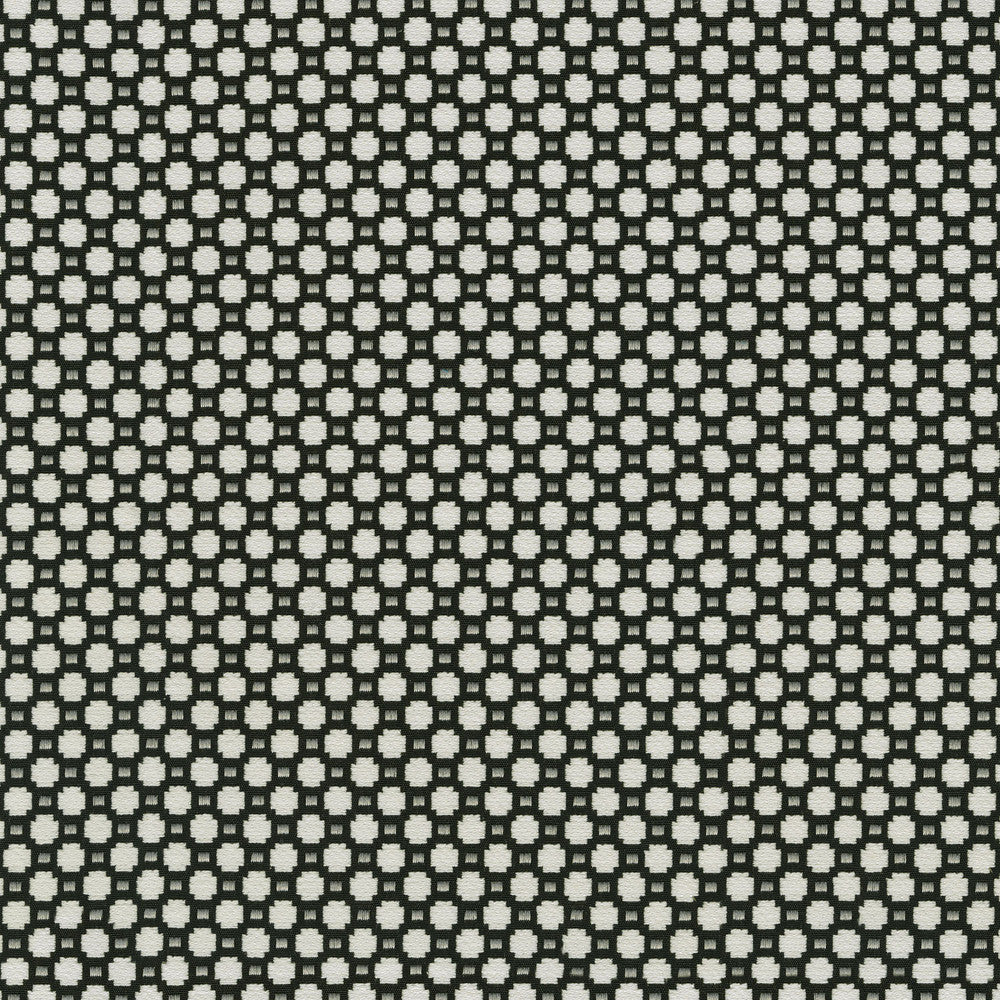 Alden Domino 409360 by Performance Fabric - Base:77% Cotton 23% Polyester CHINA 51000 Horizontal: 0.6 and Vertical: 0.7 54 - Fabric Carolina -