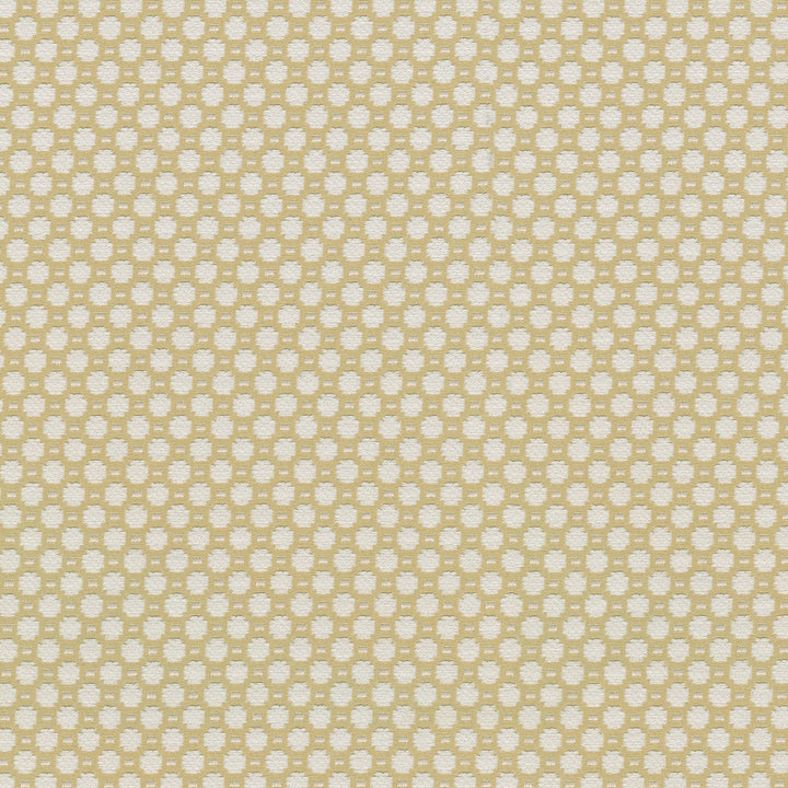 Alden Canary 409362 by Performance+ Fabric - 73% Cotton27% Polyester China 51000 Horizontal: 0.75 and Vertical: 0.75 55 - Fabric Carolina -