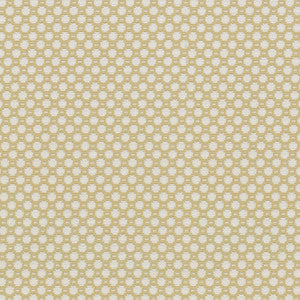 Alden Canary 409362 by Performance Fabric