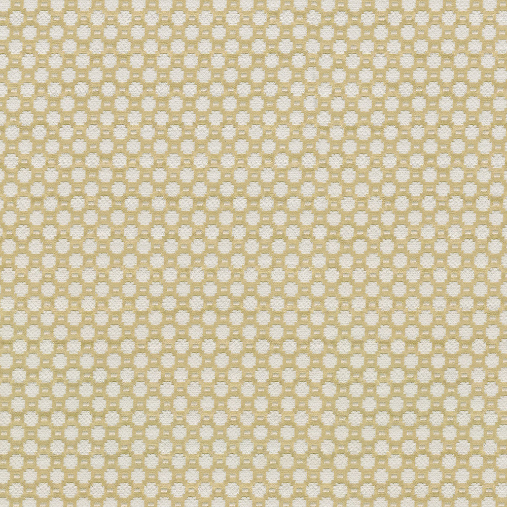 Alden Canary 409362 by Performance Fabric - Base:77%Cotton 23%Polyester CHINA 51000 Horizontal: 0.6 and Vertical: 0.7 54 - Fabric Carolina -
