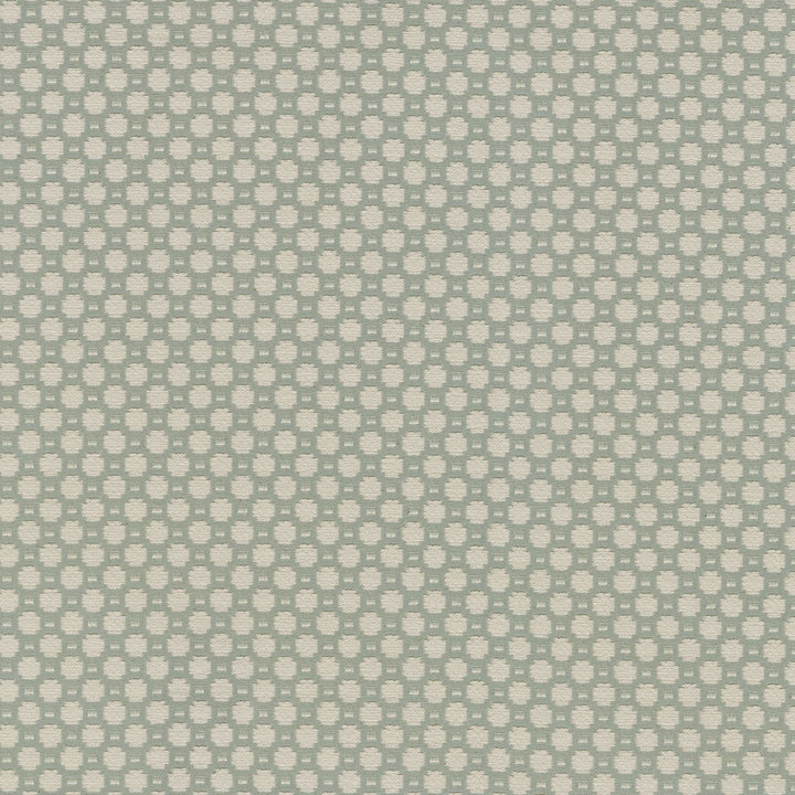 Alden Fog 409363 by Performance Fabric - Base:77% Cotton 23% Polyester CHINA 51000 Horizontal: 0.6 and Vertical: 0.7 54 - Fabric Carolina -