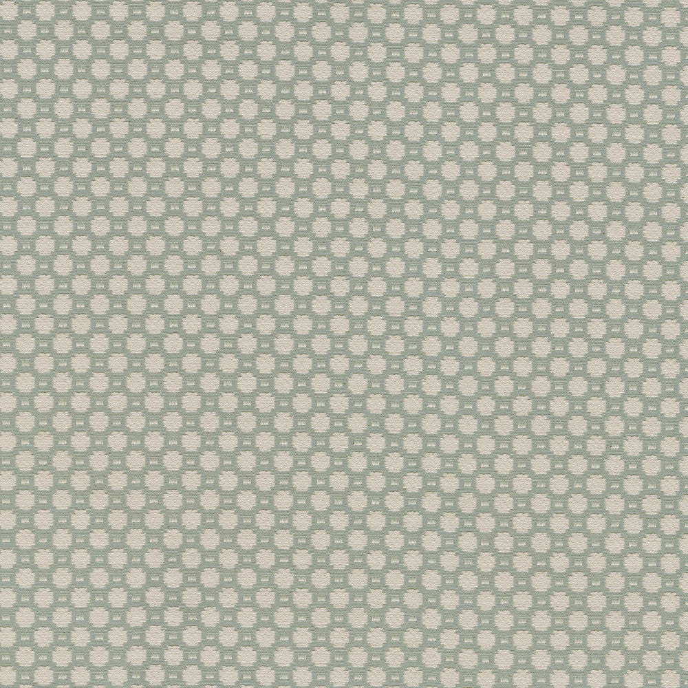 Alden Fog 409363 by Performance Fabric - Base:77%Cotton 23%Polyester CHINA 51000 Horizontal: 0.6 and Vertical: 0.7 54 - Fabric Carolina -