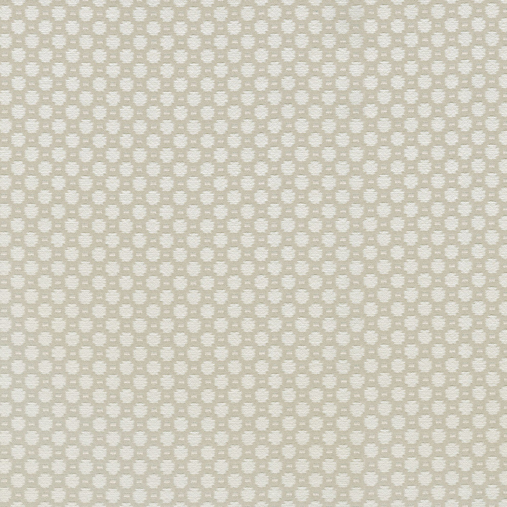 Alden Flax 409364 by Performance Fabric - Base:77%Cotton 23%Polyester CHINA 51000 Horizontal: 0.6 and Vertical: 0.7 54 - Fabric Carolina -