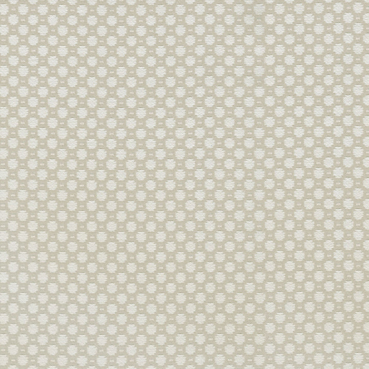 Alden Flax 409364 by Performance Fabric - Base:77%Cotton 23%Polyester CHINA 51000 Horizontal: 0.6 and Vertical: 0.7 54 - Fabric Carolina -