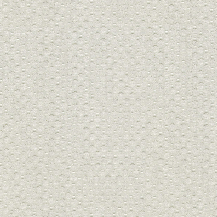 Alden Winter 409365 by Performance Fabric - Base:77% Cotton 23% Polyester CHINA 51000 Horizontal: 0.6 and Vertical: 0.7 54 - Fabric Carolina -